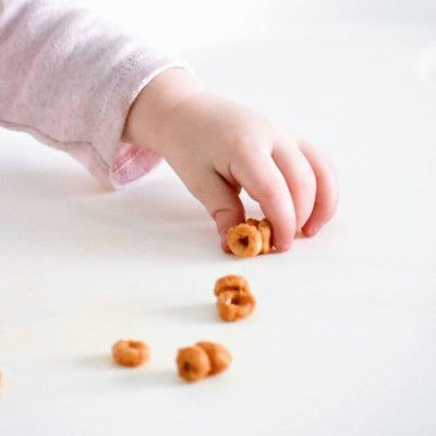 The Pincer Grasp is NOT a Prerequisite to Starting Solid Foods