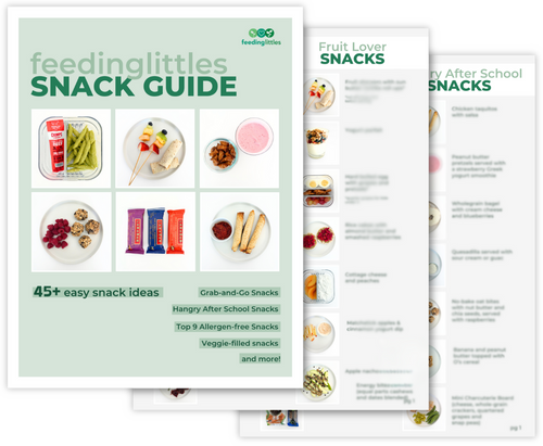 Snack Guide