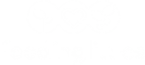 Product image with a clear background