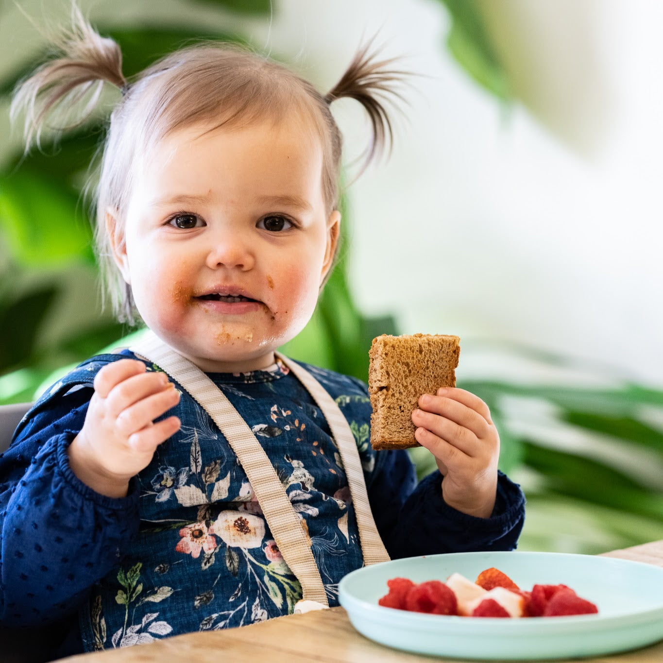 family-meal-toolkit-breakfast-edition-feeding-littles